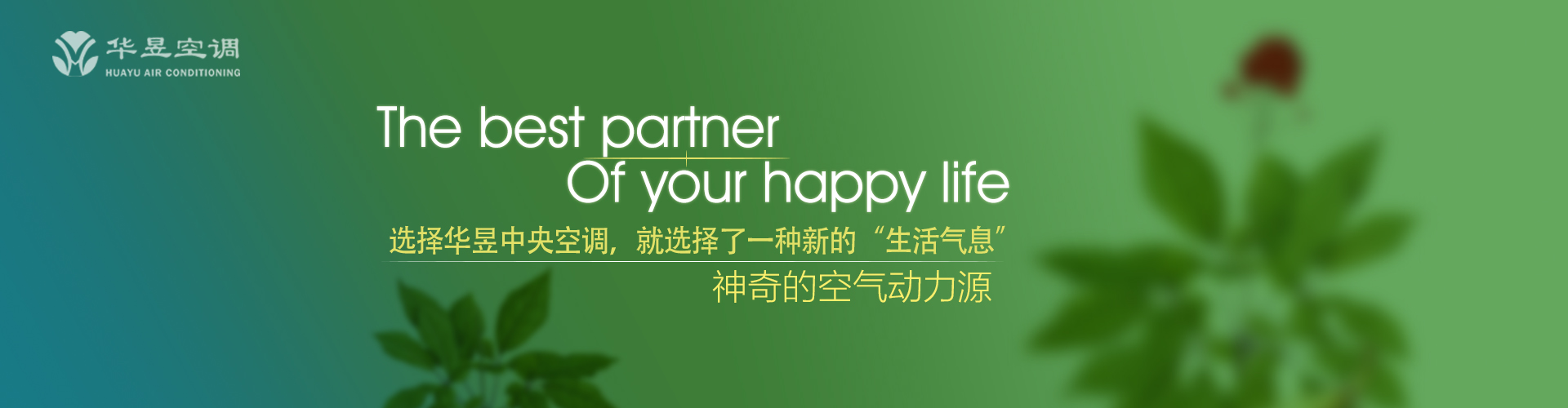 变化多端网
